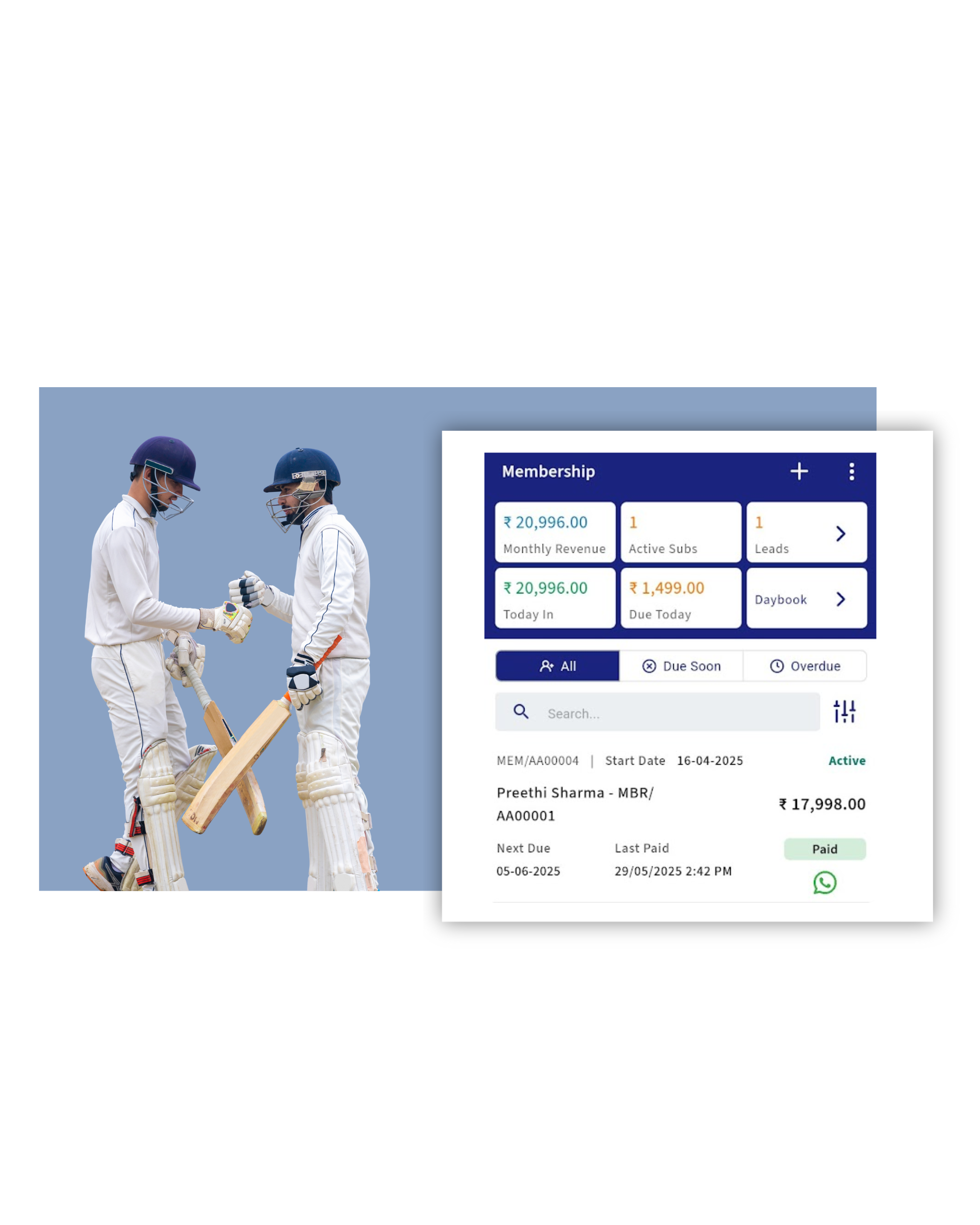 cricket mem